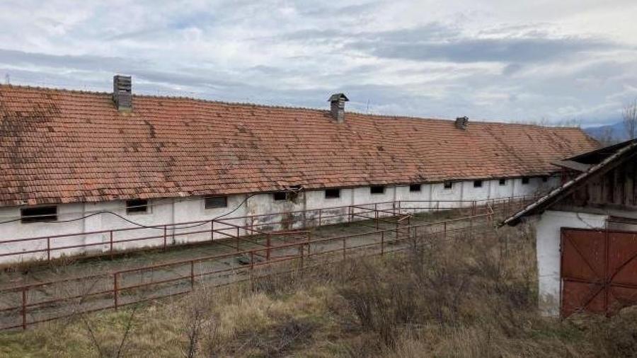 Teren extravilan de 20146 mp, în Șercaia