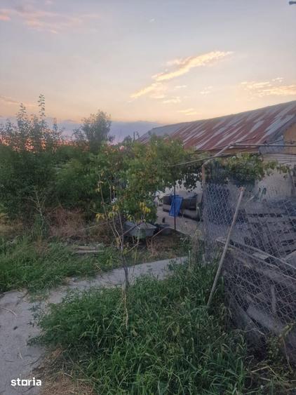 TEREN INTRAVILAN DE VANZARE ROBANE?TI, DOLJ | 5.000 MP - 3