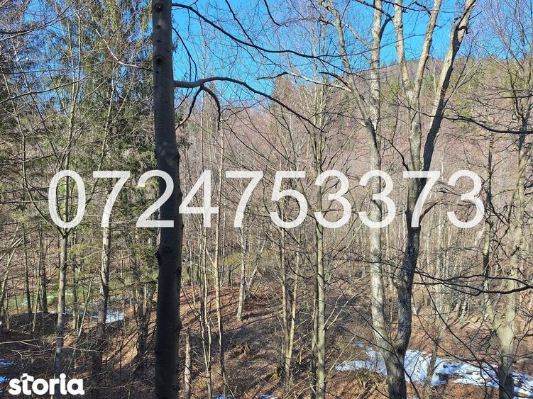 Cabana intravilan, teren 527mp, padure ?i rau, Valea Popii, Maneciu - 2