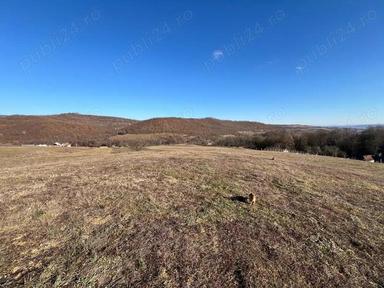 Teren de 14387 mp, în Lugașu de Sus
