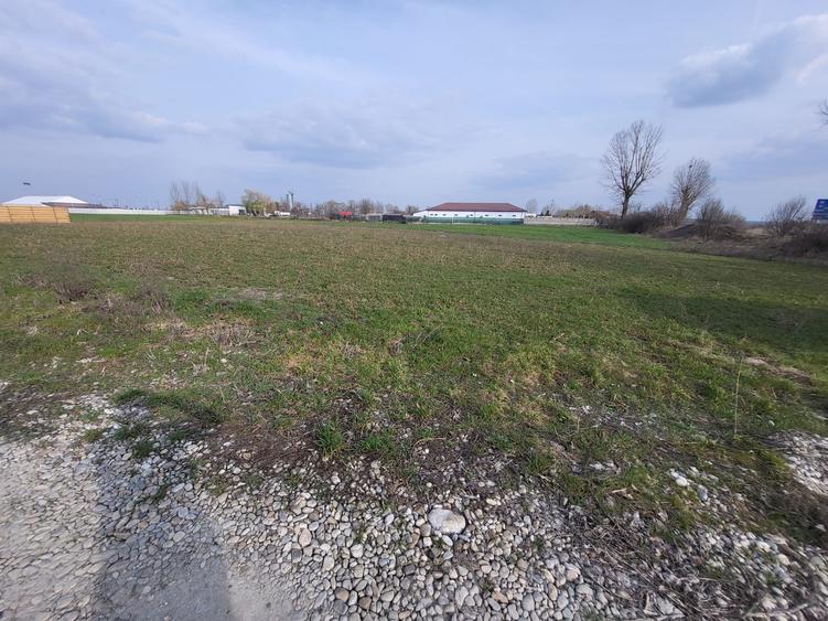 Teren Construcții intravilan de 769 mp, în Comana