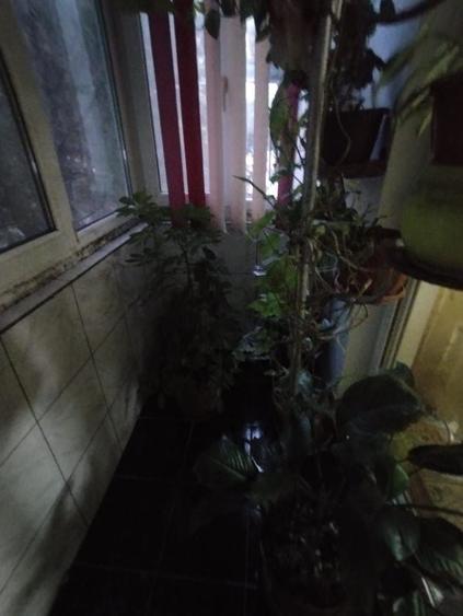 Apartament cu 3 camere semidecomandat în Tomis Nord