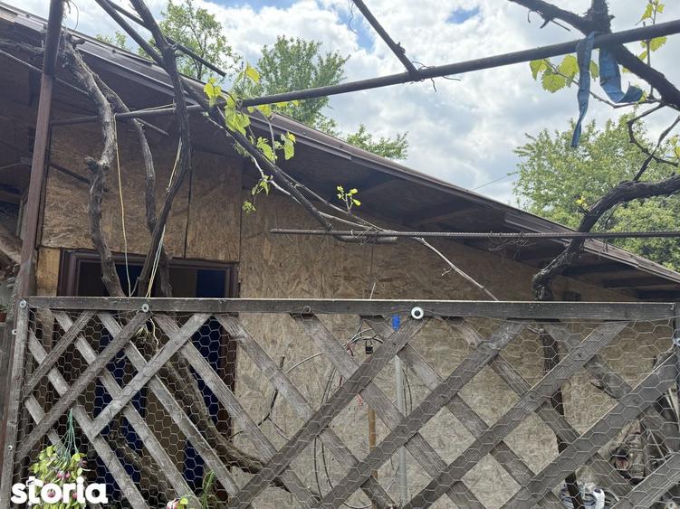 Casa singura in sectorul 3, 3 camere, curte generoasa - 8