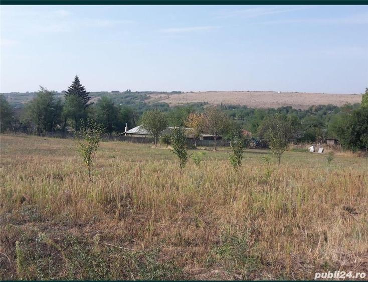 Teren de 3555 mp, în Smulți