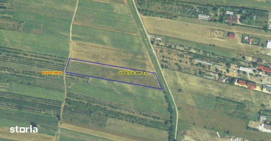 Teren de 7545 mp, în Mărăcineni