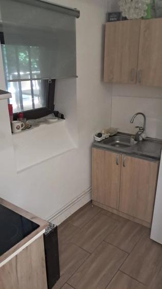 Ap.2 camere in vila - 5