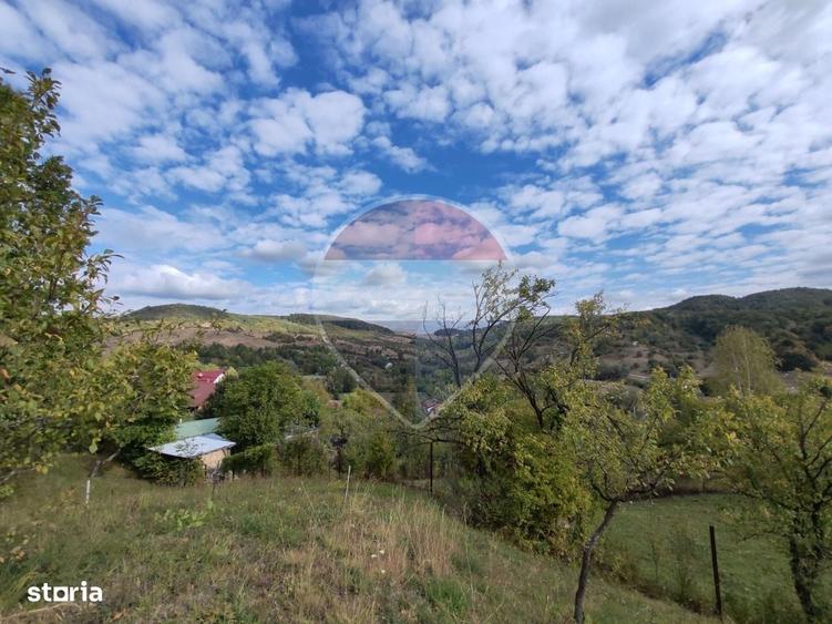 VANZARE Teren intravilan in Provita de Jos - 1