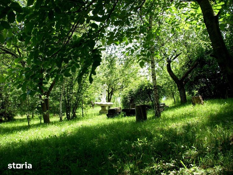 Teren de 14000 mp, în Mihai Viteazu