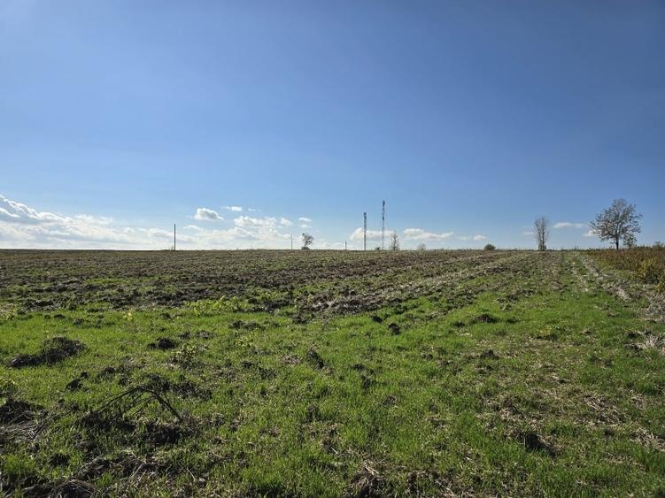 Casă individuală cu 5 camere cu Teren 1300 Mp în Crânguri