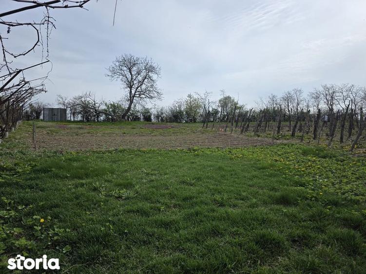 Casă cu 3 camere cu Teren 70 Mp în Secuieni