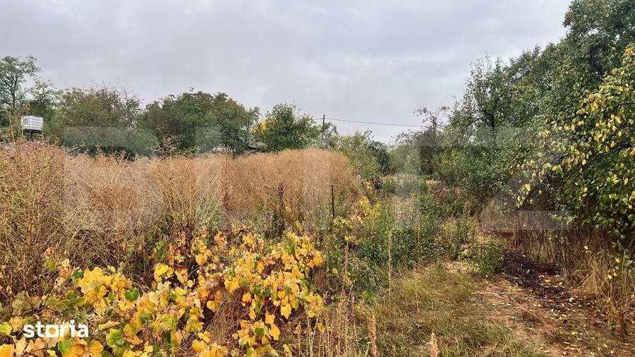 Teren de 4400 mp, în Mischii