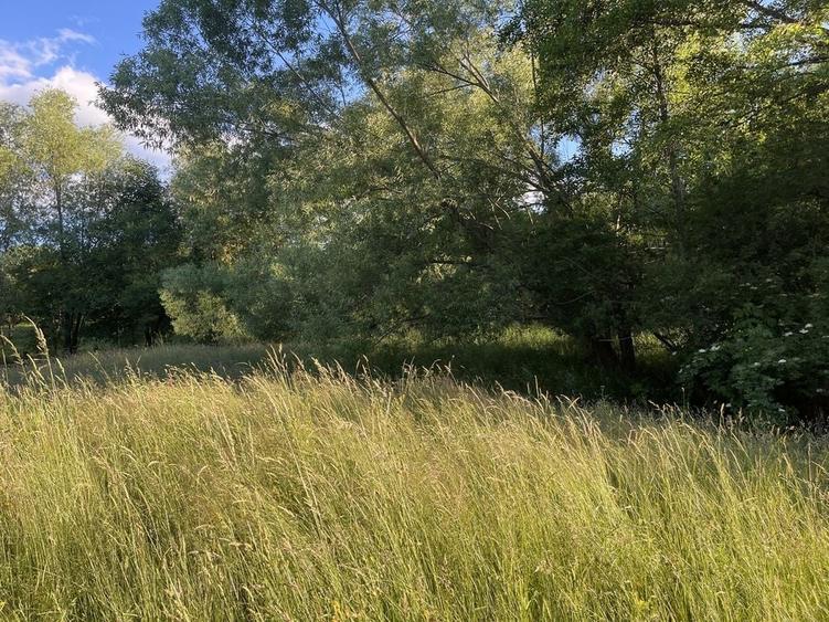 Teren de 2000 mp, în Sohodol