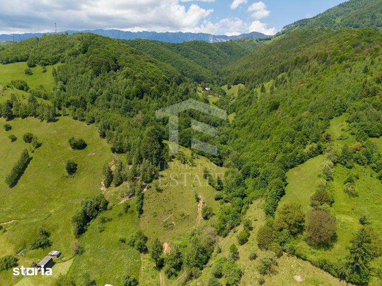Teren de 11381 mp, în Moieciu