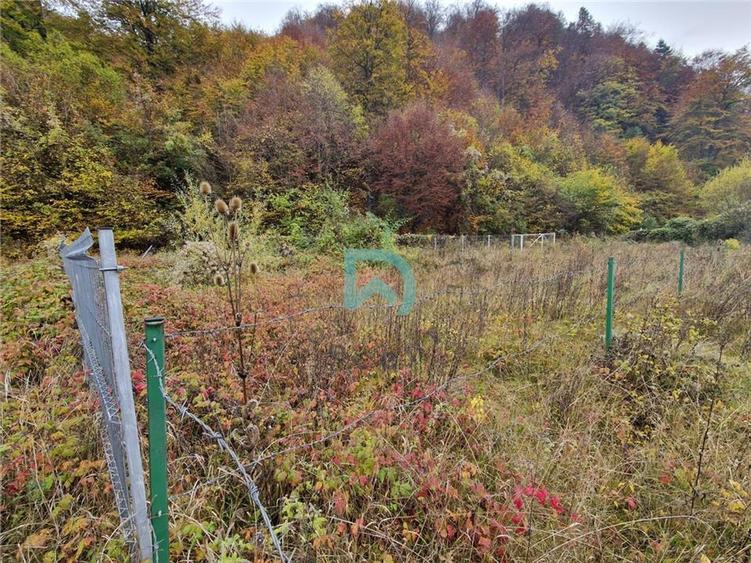 Teren intravilan de 500 mp, în Baciu
