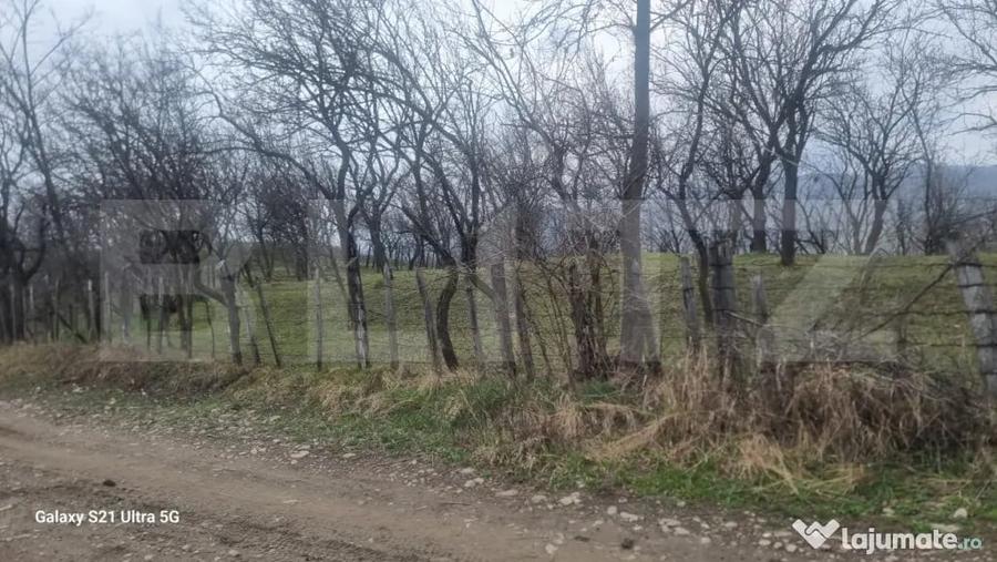 Teren în Schiulești