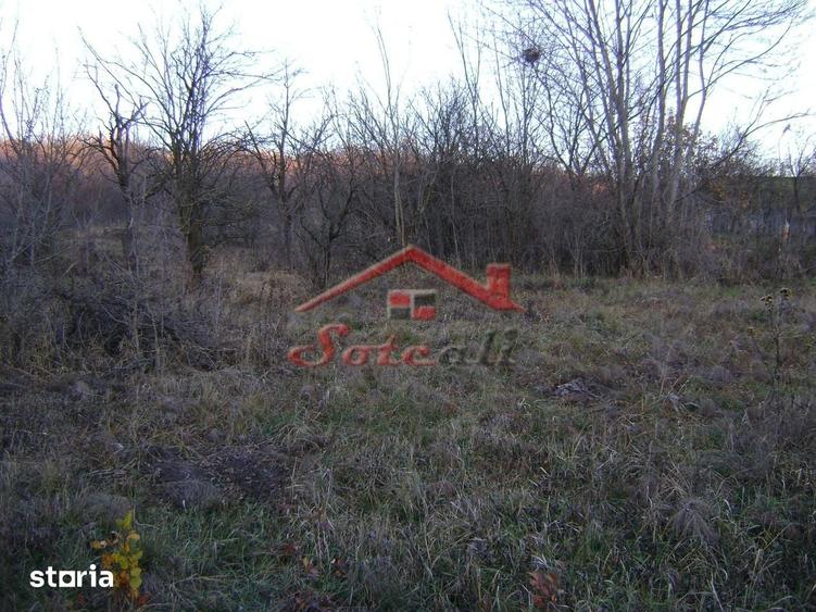 Teren de 2313 mp, în Central
