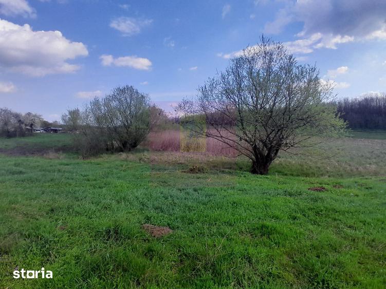Teren de 3400 mp, în Buturugeni