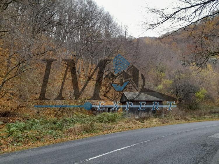 Teren extravilan de 2200 mp, în Tău Bistra