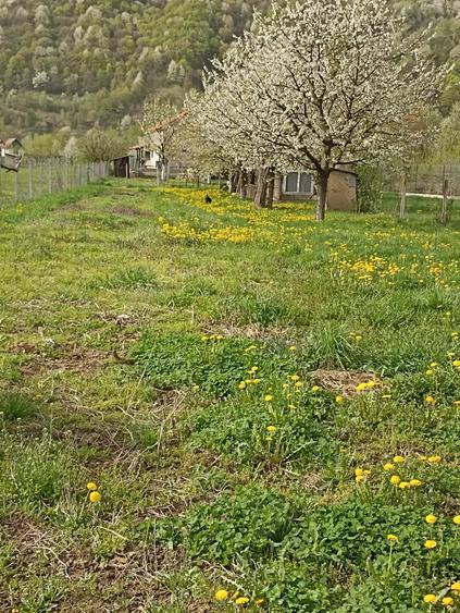 Teren de 1015 mp, în Central