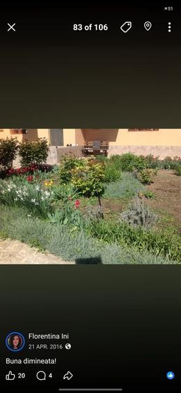 Casă cu 2 camere cu Teren 3000 Mp în Dobroești