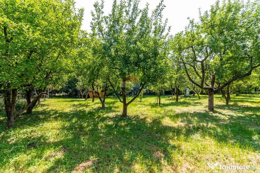Casă cu 7 camere cu Teren 3425 Mp în Central