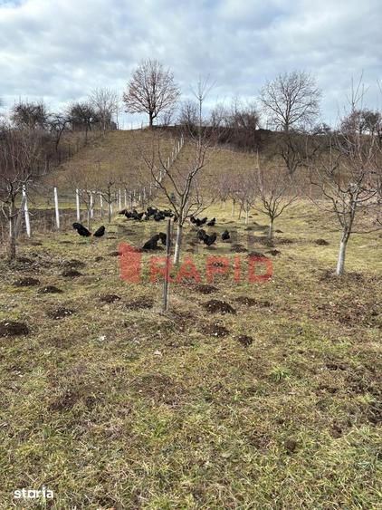 Teren de 1332 mp, în Prundu Bârgăului