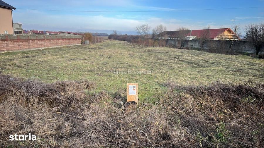 Teren intravilan de vanzare in Bucovat