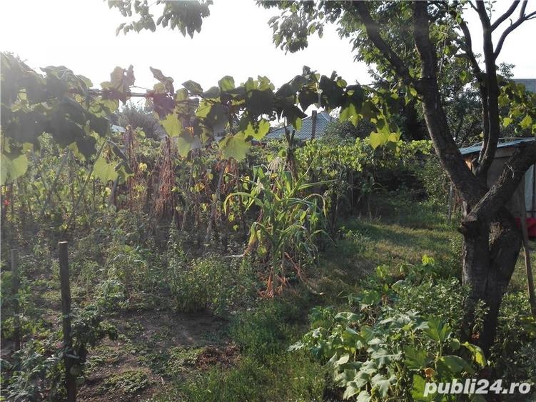 Casă cu 6 camere cu Teren 1000 Mp în Dumbrava