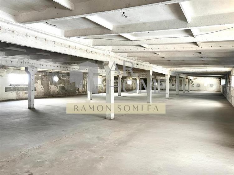 Spațiu industrial, de 1,989 mp, în Păulești