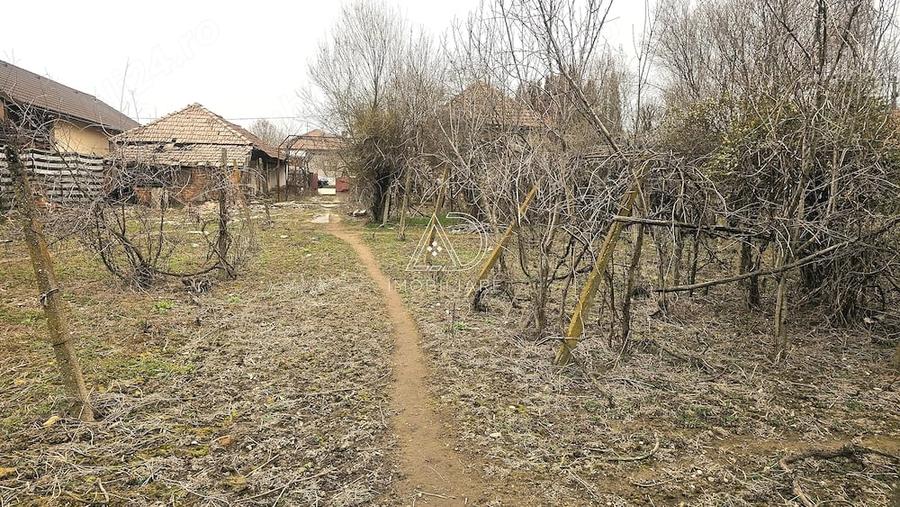 Casă cu 3 camere cu Teren 3019 Mp în Rasovița