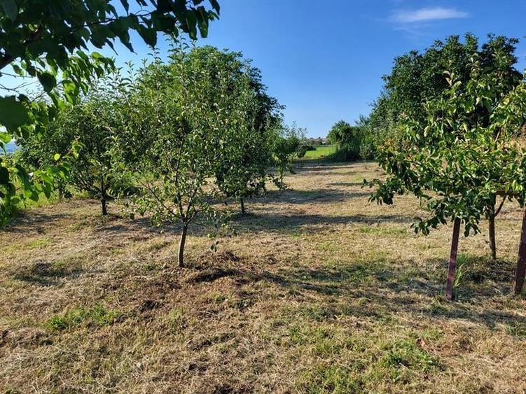 Casă individuală cu 3 camere cu Teren 1300 Mp în Izvor