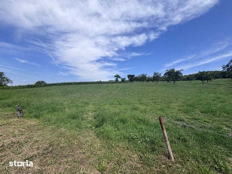 Teren de 1500 mp, în Borhanci