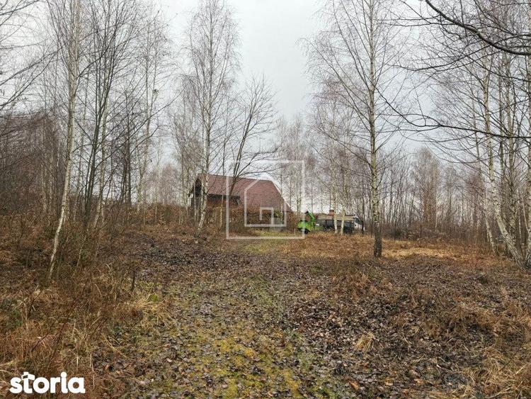 Teren intravilan 520 mp Valea Avrigului ideal cabana A-frame - 3