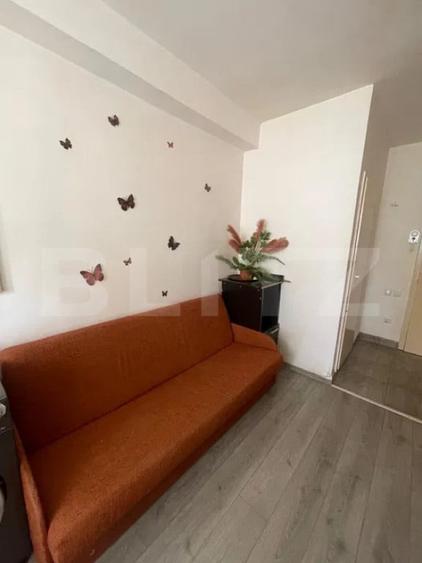 Garsoniera , pet friendly, zona strazii Lombului - 6