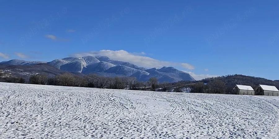 Teren de 5000 mp, în Pănicel