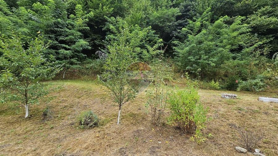 Căsuță de vacanță de vânzare – comuna Alexandru cel Bun, Neamț - 42