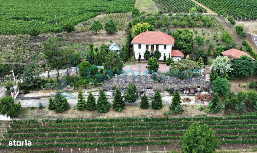 Casă cu 4 camere cu Teren 10000 Mp în Sântimreu