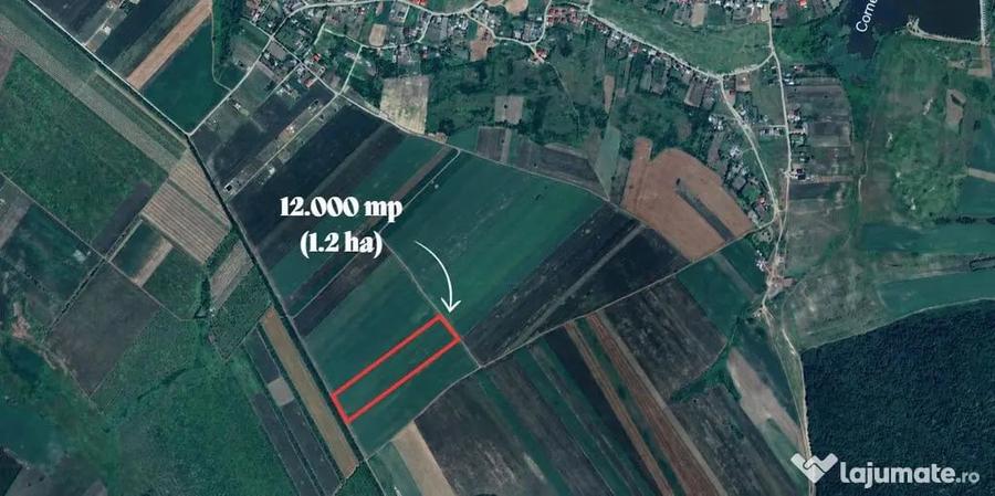 PROSELNICI Teren extravilan 12.000 mp - 2