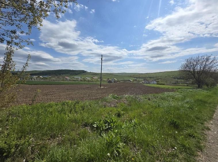 Teren de 11750 mp, în Central