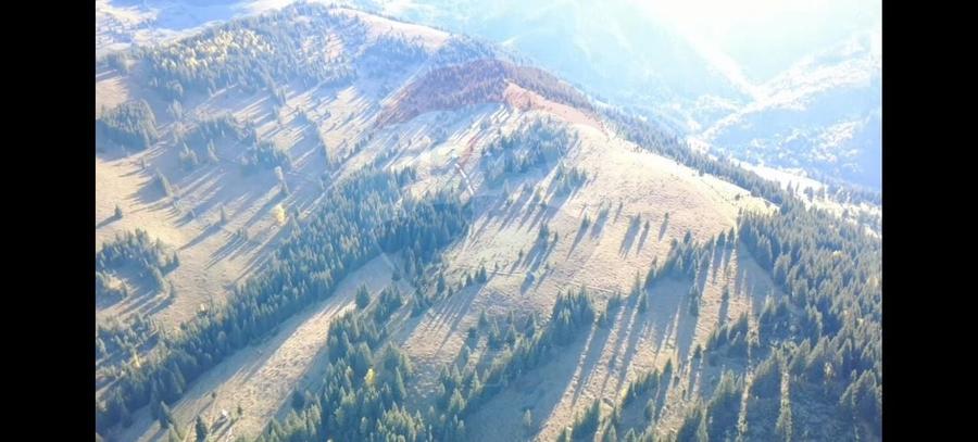 Teren extravilan de 47732 mp, în Panaci