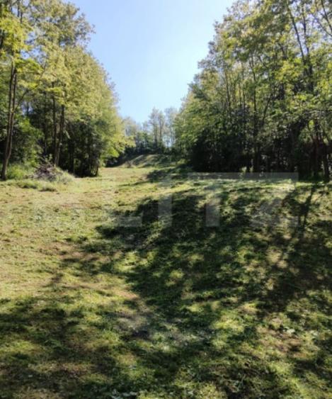 Teren de 1824 mp, în Răzvad