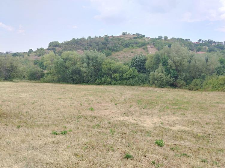 2 Parcele de teren extravilan zona Bradet Pret 3000eur/ar neg usor - 6