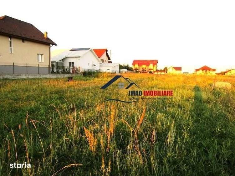 Spațiu comercial, în Viforâta