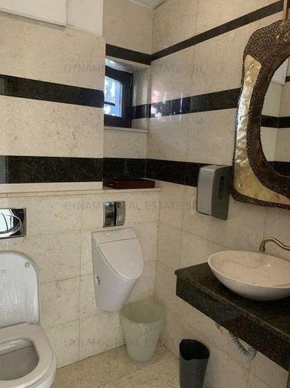 Birou, de 440 mp, în Cișmigiu
