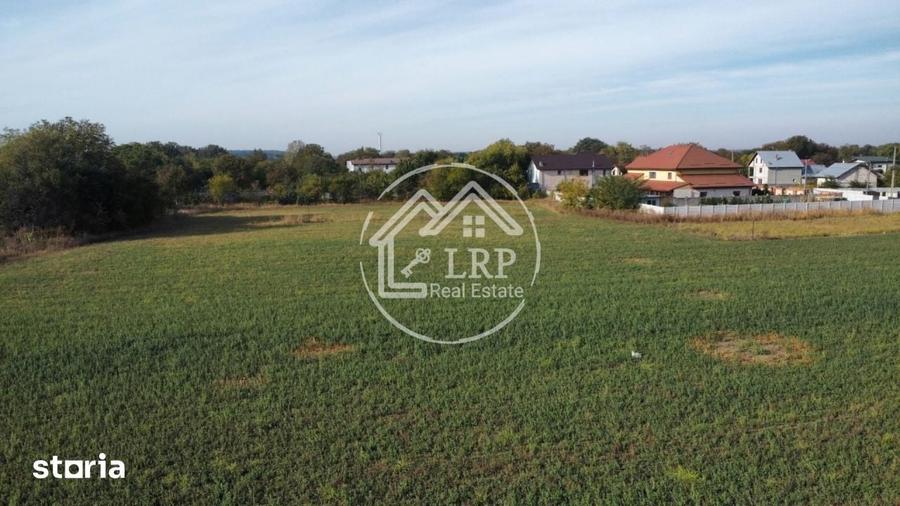 Teren de 7182 mp, în Dascălu