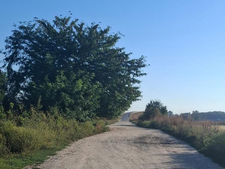 Teren Construcții intravilan de 17194 mp, în Domnești