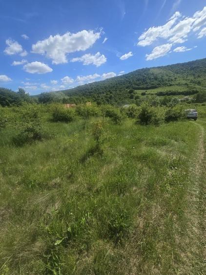 Teren de 765 mp, în Florești