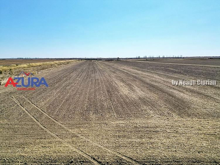 Teren agricol extravilan de 47200 mp, în Căteasca