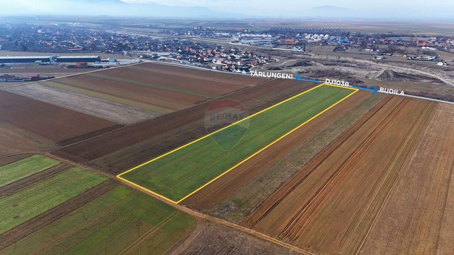 Teren agricol extravilan de 14600 mp, în Tărlungeni