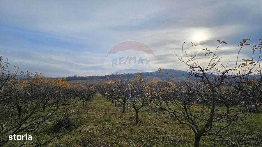Spațiu comercial, în Fălticeni